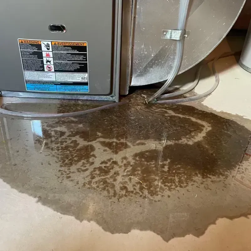 Appliance Leak Cleanup in Litchfield, MI